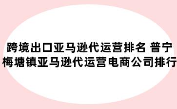 跨境出口亚马逊代运营排名 普宁梅塘镇亚马逊代运营电商公司排行榜